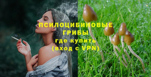 ECSTASY Верхний Тагил