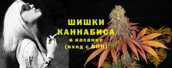 гидропоника Верея
