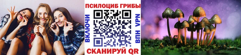 Псилоцибиновые грибы GOLDEN TEACHER  Купить  Поронайск 